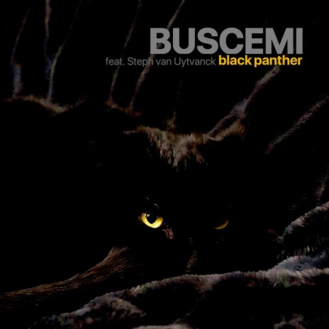 Black Panther (feat. Steph van Uytvanck) | Boomplay Music