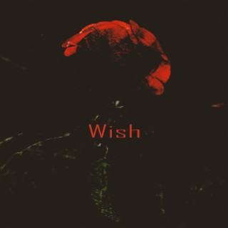 Wish