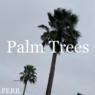 Palm Trees Lp