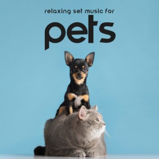Relaxing Set Music for Pets: Puppy Lullabies, Gentle Music to Sleep for Your Dogs and Cats, Calm Down Your Animals