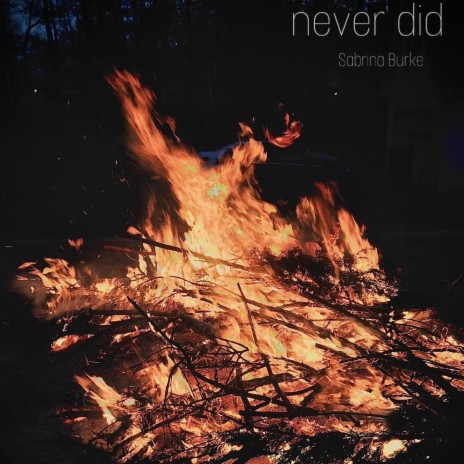 never did | Boomplay Music