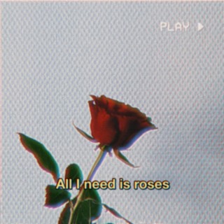 all i need is roses