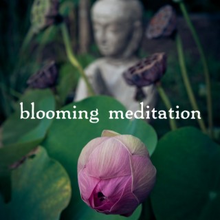 Blooming Meditation