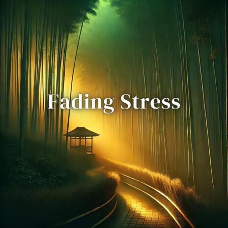 Fading Stress | Boomplay Music