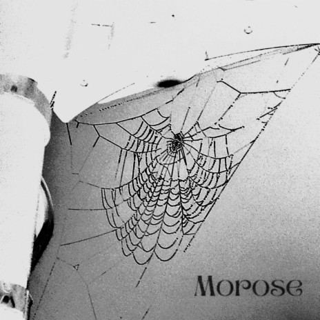 Morose | Boomplay Music