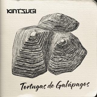 Tortugas de Galapagos