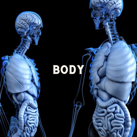 Body | Boomplay Music