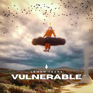 Vulnerable