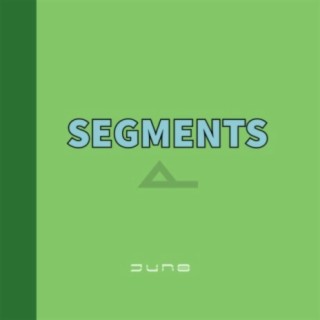 SEGMENTS