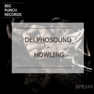 DelphoSound