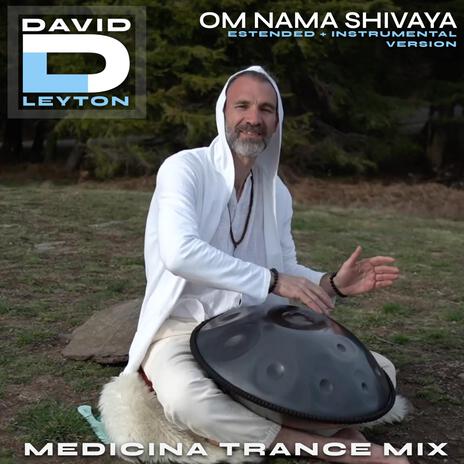 Om Nama Shivaya (Medicina Trance Instrumental Version) | Boomplay Music