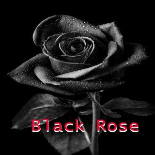 Black Rose