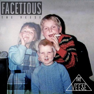 Facetious lyrics | Boomplay Music