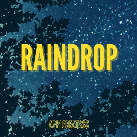 Raindrop | Boomplay Music