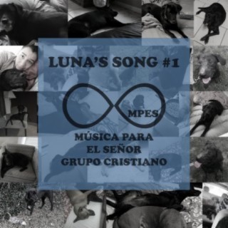 Álbum de Tributo a Luna