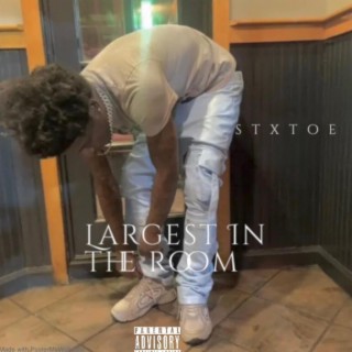 Largest in the Room