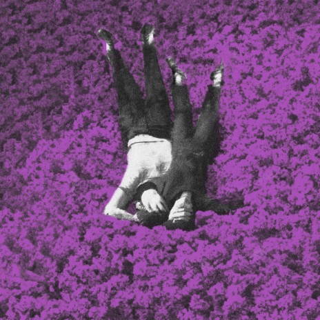 Gracias por las violetas | Boomplay Music