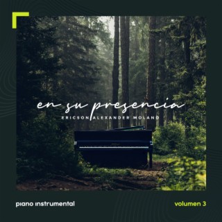 En Su Presencia, Vol. 3: Piano Instrumental