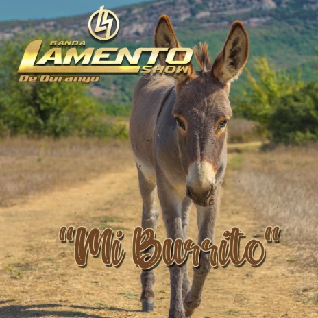 Mi Burrito | Boomplay Music