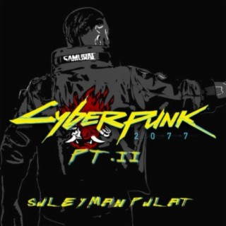 Cyberpunk2077, Pt. II