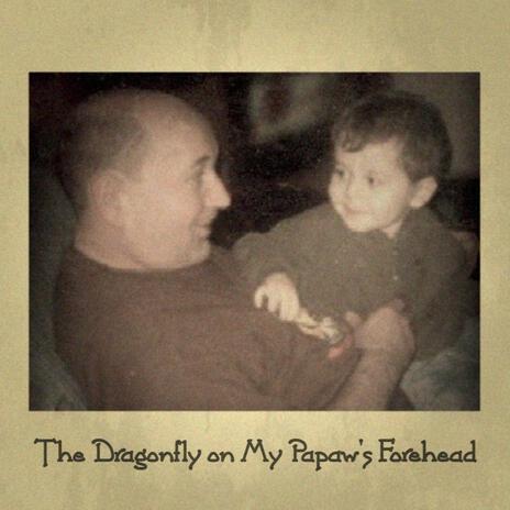 The Dragonfly on My Papaw's Forehead | Boomplay Music