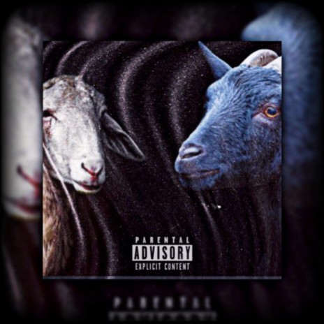 Sheep or goat | Boomplay Music