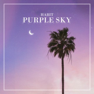 Purple Sky lyrics | Boomplay Music