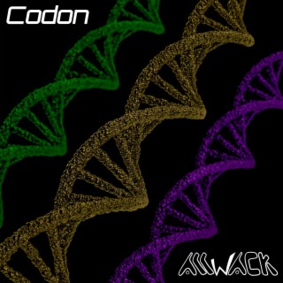 Codon