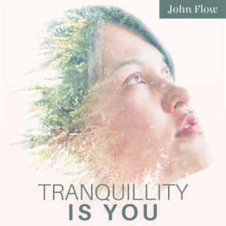 Tranquillity Is You: Serene Music to Give Rest to Your Mind and Body, Say No to Toxicity, Learn to See Positivity