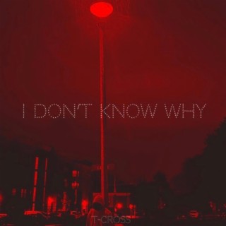 I don't know why ft. Victor Beng lyrics | Boomplay Music