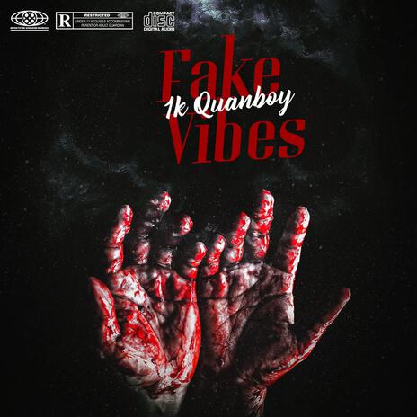 Fake Vibes | Boomplay Music