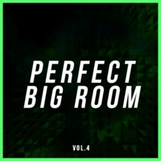 Perfect Big Room, vol.4