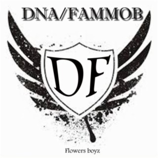 D.N.A/Fammob