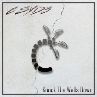 Knock the Walls Down