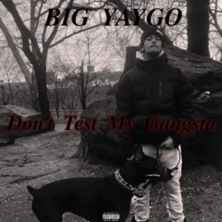 Don't Test My Gangsta vol. 2