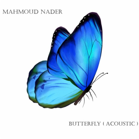 Butterfly (Acoustic) | Boomplay Music