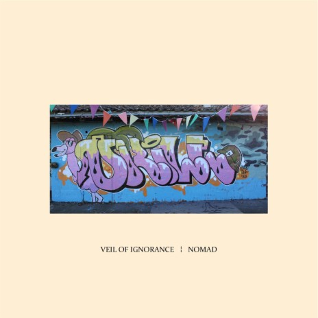 Veil of Ignorance | Boomplay Music