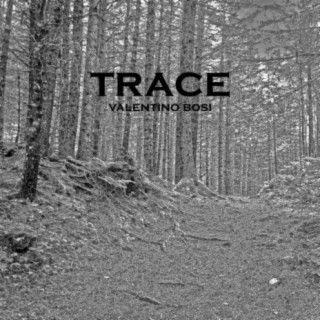 Trace