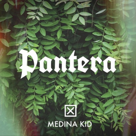 Pantera | Boomplay Music