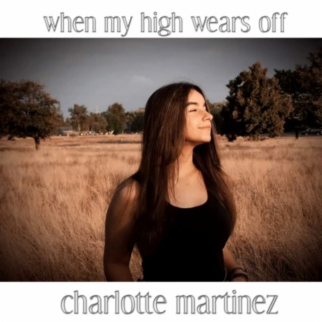 When My High Wears Off | Boomplay Music