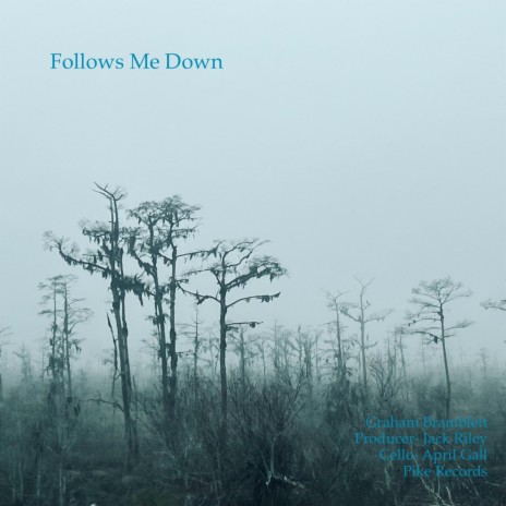 Follows Me Down | Boomplay Music