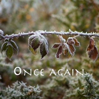 Once again ft. Mathias B lyrics | Boomplay Music