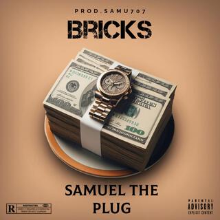 Bricks