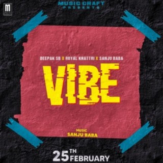 Vibe Hai