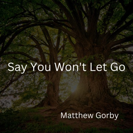 Say you won't let go | Boomplay Music