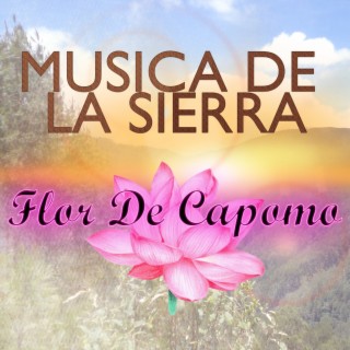 Musica De La Sierra