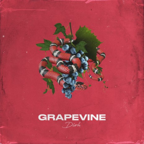 Grapevine | Boomplay Music