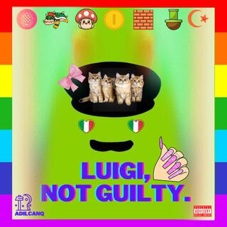 LUIGI, NOT GUILTY.