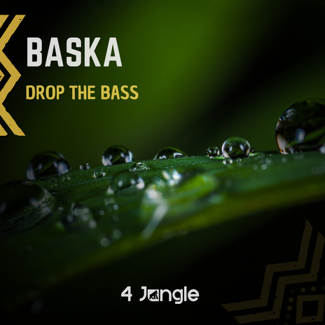 Drop The Bass | Boomplay Music