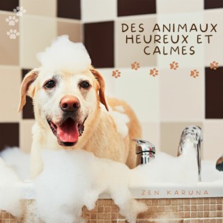 Des animaux heureux et calmes